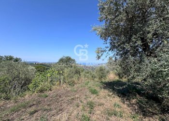 Foto 11 - Terreno agricolo Chiuse, Perdifumo - foto 11