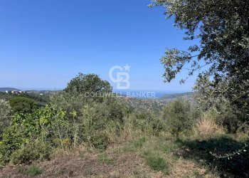 Foto 12 - Terreno agricolo Chiuse, Perdifumo - foto 12