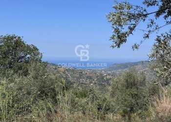 Foto 13 - Terreno agricolo Chiuse, Perdifumo - foto 13