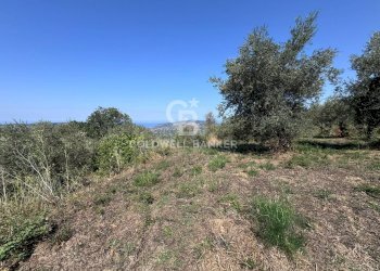 Foto 14 - Terreno agricolo Chiuse, Perdifumo - foto 14