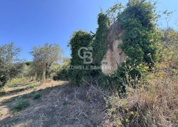 Foto 15 - Terreno agricolo Chiuse, Perdifumo - foto 15