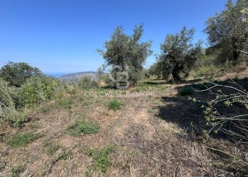 Foto 16 - Terreno agricolo Chiuse, Perdifumo - foto 16