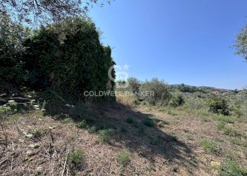 Foto 19 - Terreno agricolo Chiuse, Perdifumo - foto 19