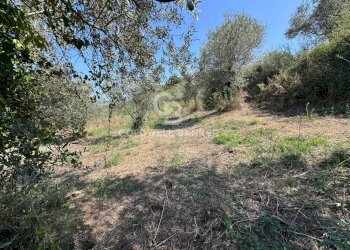 Foto 21 - Terreno agricolo Chiuse, Perdifumo - foto 21