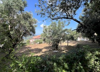 Foto 4 - Independent house Via Roma 28, Torchiara - photo 4