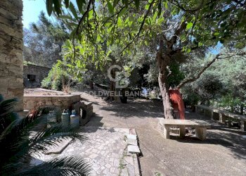 Foto 5 - Independent house Via Roma 28, Torchiara - photo 5