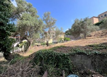 Foto 9 - Independent house Via Roma 28, Torchiara - photo 9