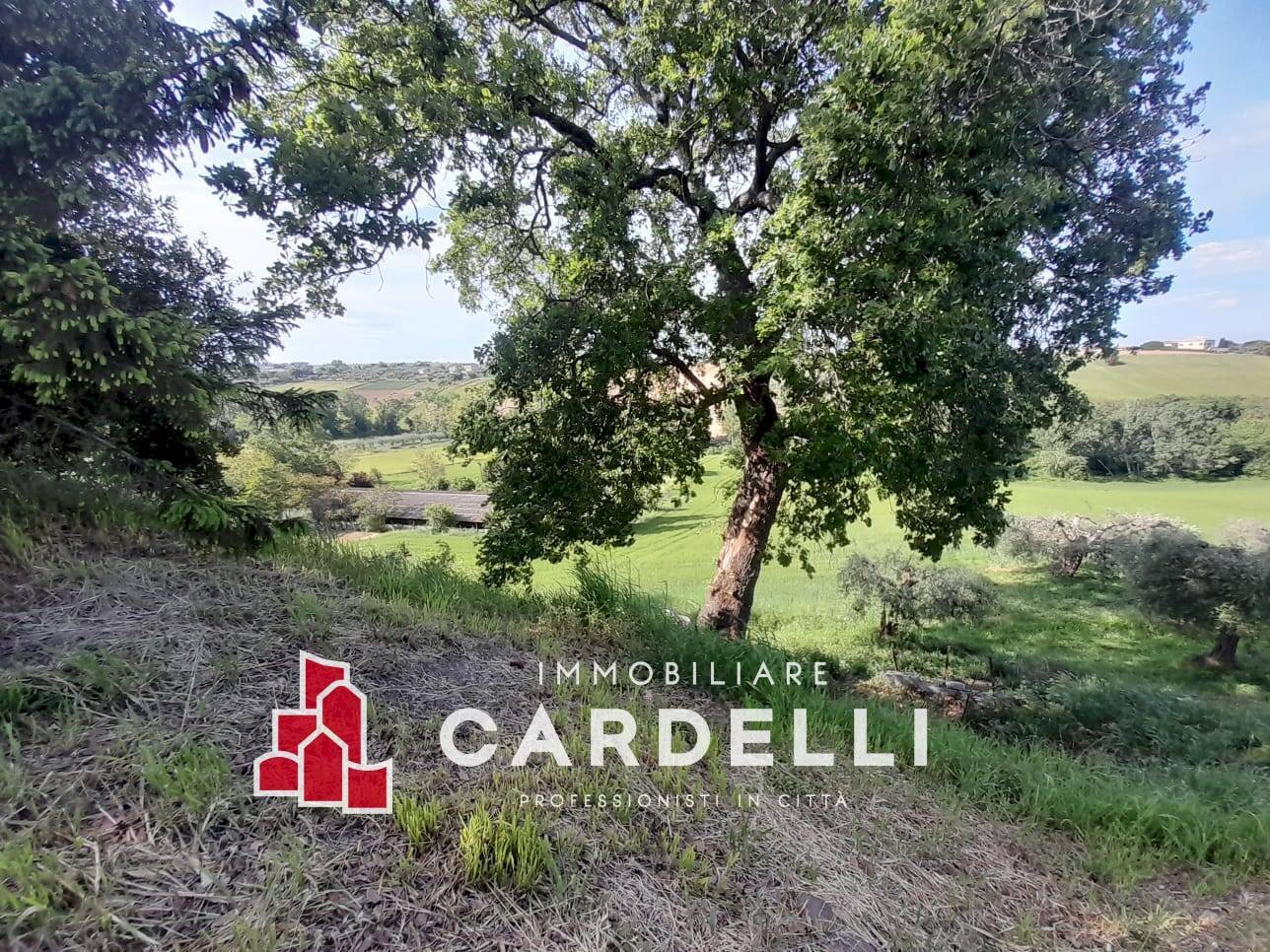 Foto 3 - Capannone strada Cretarola, Sant'Elpidio a Mare - foto 3