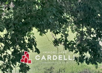 Foto 8 - Capannone strada Cretarola, Sant'Elpidio a Mare - foto 8