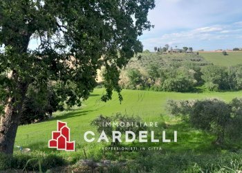 Foto 2 - Capannone strada Cretarola, Sant'Elpidio a Mare - foto 2