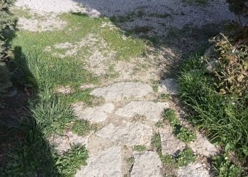 Foto 29 - Semi-detached house Gambassi Terme - photo 29