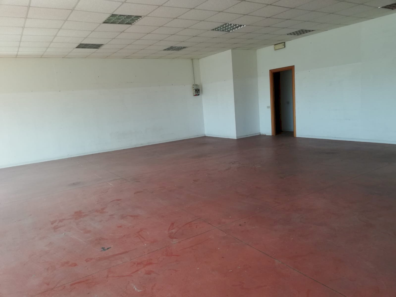 Foto 3 - Commercial Activity Montespertoli - photo 3