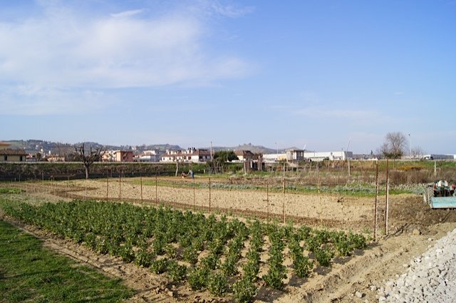 Foto 2 - Building land Via Ottantatreesima Strada, Monteprandone - photo 2