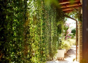 Foto 6 - Rustico Contrada Rio Moro
 
snc, Colonnella - foto 6