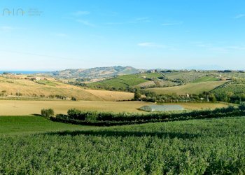 Foto 25 - Rustico Contrada Rio Moro
 
snc, Colonnella - foto 25