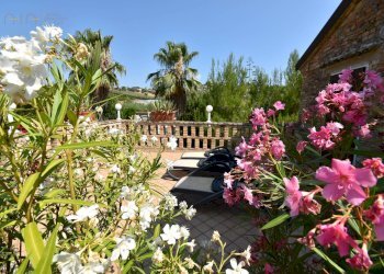 Foto 44 - Rustico Contrada Rio Moro
 
snc, Colonnella - foto 44