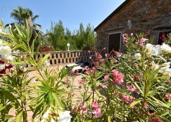 Foto 48 - Rustico Contrada Rio Moro
 
snc, Colonnella - foto 48