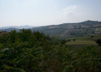 vista panoramica - Rustic Contrada Solagna Ragnola
 
13, Monteprandone - photo 3