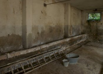 particolare stalla - Rustic Contrada Solagna Ragnola
 
13, Monteprandone - photo 6