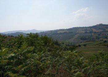 panorama - Rustic Contrada Solagna Ragnola
 
13, Monteprandone - photo 18
