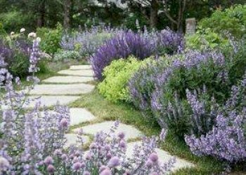 Foto 8 - Apartment Via Corsica
 
12, San Benedetto del Tronto - photo 8