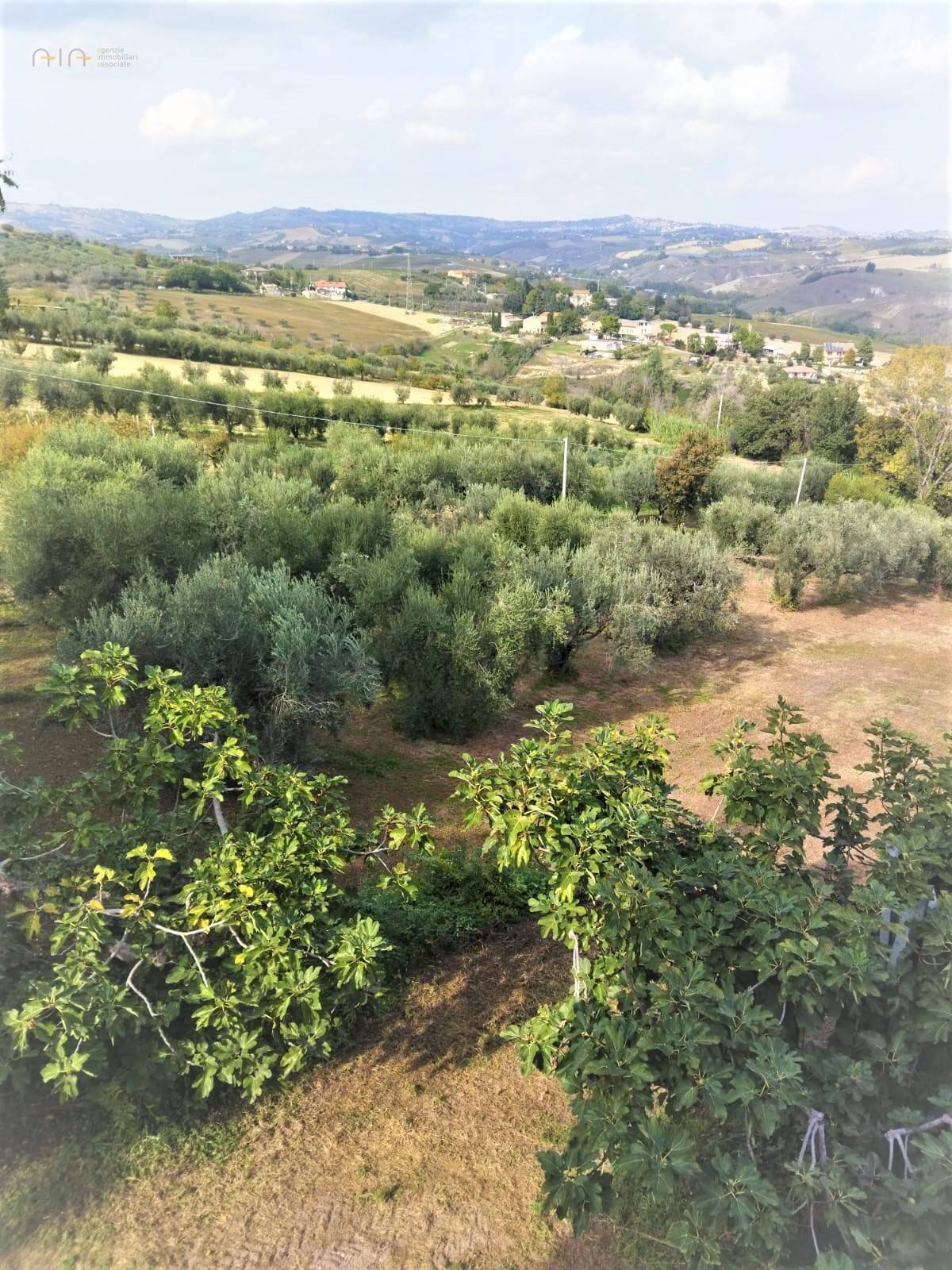 Foto 3 - Rustico Via Roma
 
snc, Castel di Lama - foto 3