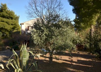 Foto 12 - Villa Contrada Pianacciole, Ripatransone - photo 12