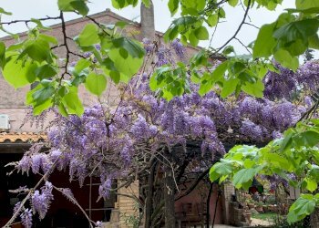 Foto 6 - Villa Contrada Pianacciole, Ripatransone - photo 6