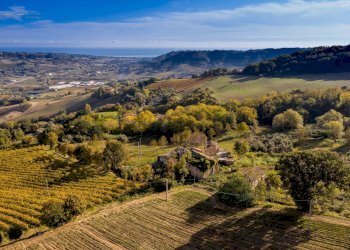 Foto 6 - Rustico Contrada San Michele, Ripatransone - foto 6
