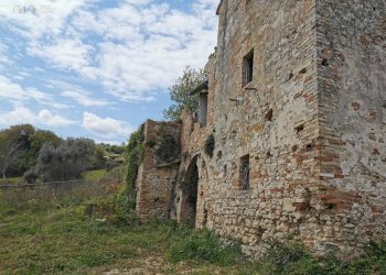 Foto 14 - Rustico Contrada San Michele, Ripatransone - foto 14