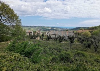 Foto 34 - Rustico Contrada San Michele, Ripatransone - foto 34