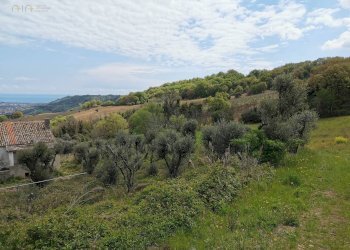 Foto 36 - Rustico Contrada San Michele, Ripatransone - foto 36