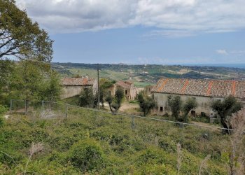 Foto 37 - Rustico Contrada San Michele, Ripatransone - foto 37