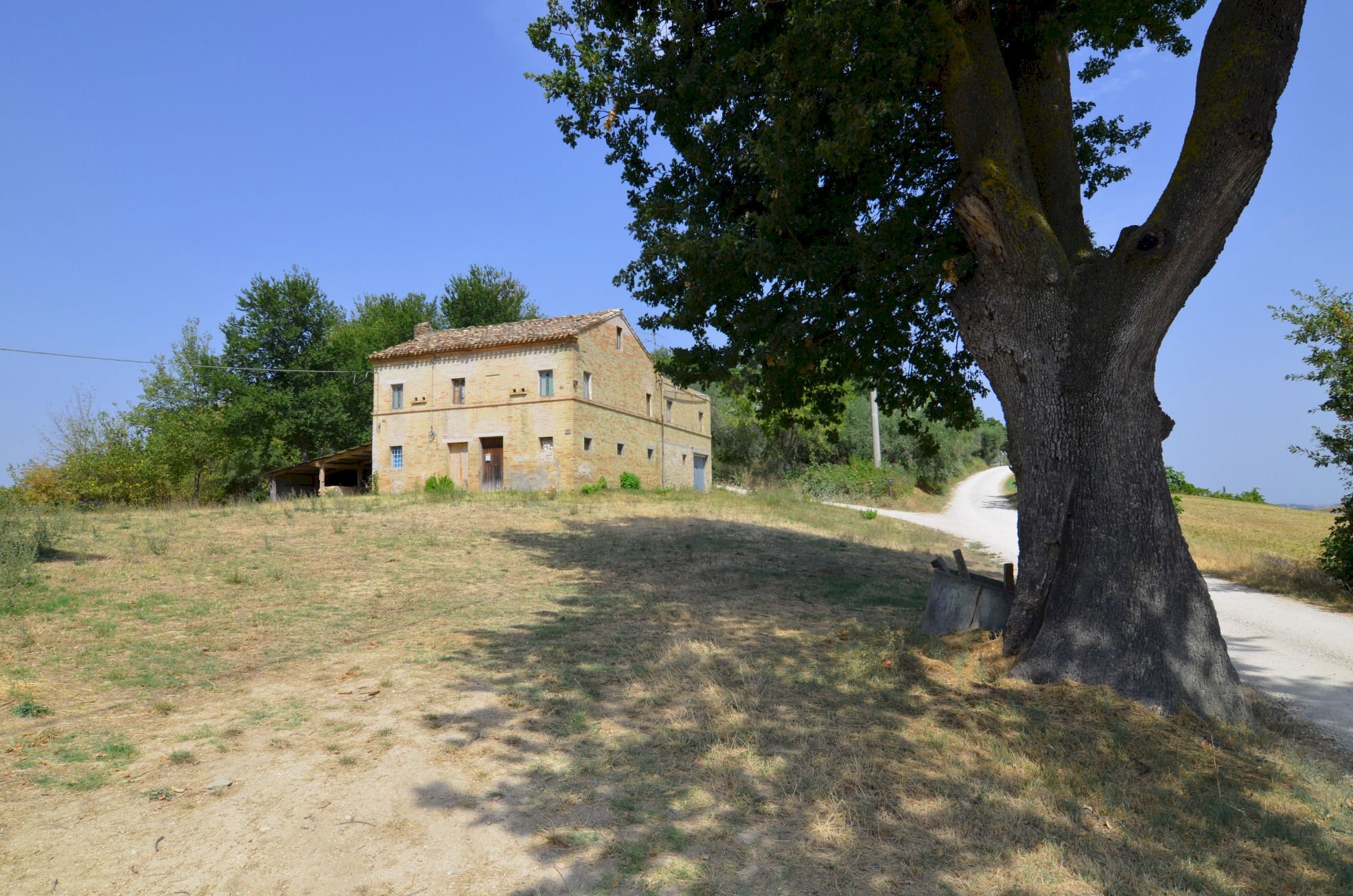 Foto 2 - Rustico Monterubbiano - foto 2