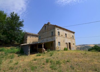 Foto 9 - Rustico Monterubbiano - foto 9