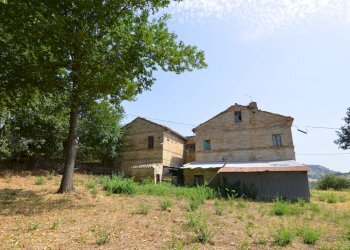 Foto 11 - Rustico Monterubbiano - foto 11