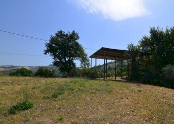 Foto 14 - Rustico Monterubbiano - foto 14