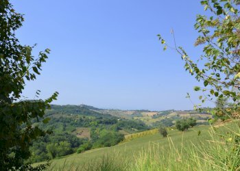 Foto 15 - Rustico Monterubbiano - foto 15