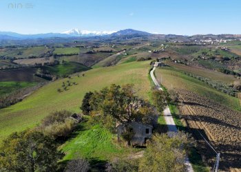 Foto 2 - Rustic Offida - photo 2