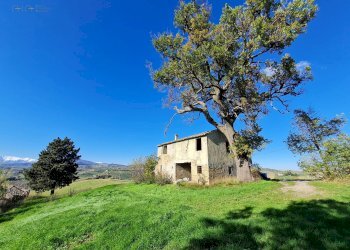 Foto 3 - Rustic Offida - photo 3