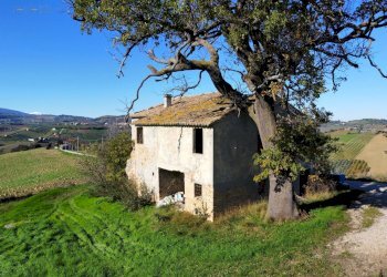 Foto 4 - Rustic Offida - photo 4