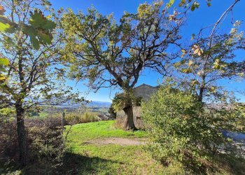 Foto 8 - Rustic Offida - photo 8