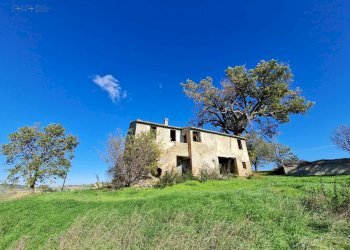 Foto 10 - Rustic Offida - photo 10