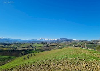 Foto 11 - Rustic Offida - photo 11