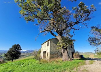 Foto 13 - Rustic Offida - photo 13