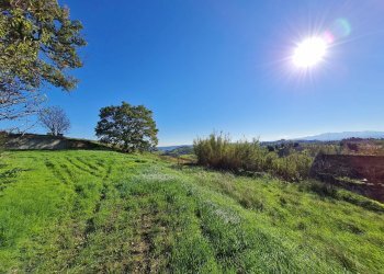 Foto 14 - Rustic Offida - photo 14