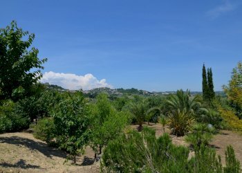 Foto 54 - Villa Via Dei Ginepri
 
2, Acquaviva Picena - foto 54