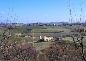 Foto 5 - Rustico Appignano del Tronto - foto 5