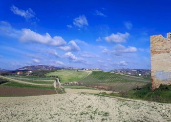 Foto 6 - Rustico Appignano del Tronto - foto 6