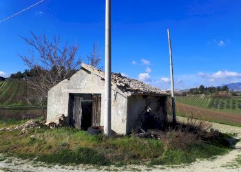 Foto 7 - Rustico Appignano del Tronto - foto 7